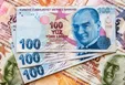 اظهارنظر عجیب یک مجری درباره سقوط ارزش لیر +فیلم