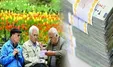 همسان سازی حقوق بازنشستگان بعد از پرداخت بدهی دولت عملیاتی می‌شود