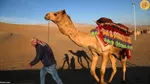 تجربه‌ای متفاوت از سافاری در دل کویر یزد