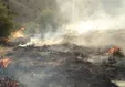 آتش دوباره به جان دنا افتاد