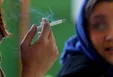 استانداری کردستان: زنان متاهل بیشتر از دختران مجرد در معرض آسیب اعتیاد هستند