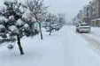 ببینید| نمایی زیبا از بارش برف در جنگل‌های دوهزار