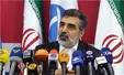 نیروگاه بوشهر مثل شاخ شمشاد کار می‌کند/ آماده گفت‌وگو با کشورهای منطقه درباره ایمنی نیروگاه‌هایمان هستیم