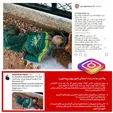 پست عجیب و جنجالی «پرویز پرستویی» +عکس