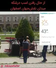 اسب میدان نقش جهان اصفهان از حال رفت! + عکس