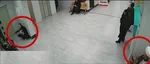 فیلم وایرال شده درگیری خانمی  با یک روحانی در قم