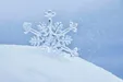 ببینید| آغاز بارش سنگین برف در تهران
