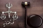 قوه قضاییه: نرگس محمدی با فرزندش گفتگو کرد