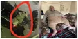 اعترافات هولناک مفتی فَربه داعش: فتوای فروش زنان صادر کرده بودم