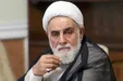 حضور ناطق نوری در صف رای‌دهندگان حسینیه ارشاد + عکس