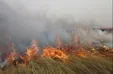 علت تداوم آتش‌سوزی تالاب هورالعظیم مشخص نیست