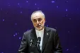 علی‌اکبر صالحی: نماد شیر و خورشید از حیث تاریخی به جمهوری اسلامی ایران تعلق دارد