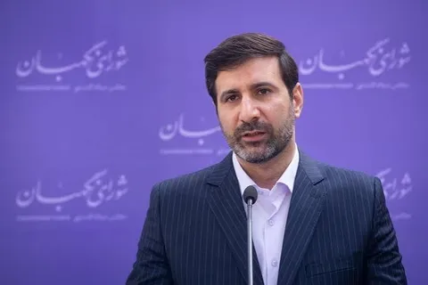 طحان‌نظیف: شورای نگهبان درباره طرح مقابله با نفوذ اظهارنظر نکرده است