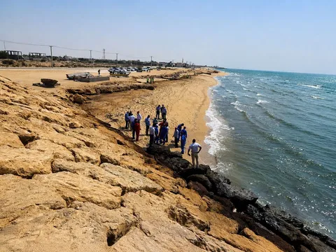 ۸۰ درصد آلودگی نفتی سواحل قشم مهار شد