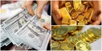 قیمت دلار، طلا و سکه امروز ۸ شهریور ۱۴۰۵
