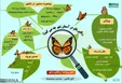 اینفوگرافیک /پروانه‌ها در تهران چه می‌کنند؟