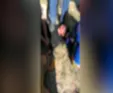 رفتار بی رحمانه مامور نگهبانی با یک خانم زخمی/ بازداشت مامور حراست بخاطر لمس بدن زن جوان! +فیلم