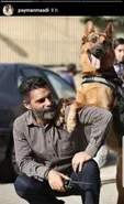 عکس جالب صمد و رکس در متری شش و نیم