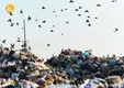 بازیافت در خدمت زمین پاک