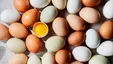 درج قیمت روی مرغ و تخم مرغ الزامی شد