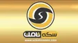 «اعلام ورشکستگی» موسسه سکه ثامن