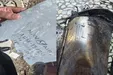 اعلام مشخصات دقیق بمب استفاده شده در حمله آمریکا به عروسی کوهستک