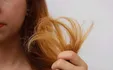 چگونه موخوره را از بین ببریم؟
