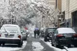 هوای پایتخت، برفی و باران می شود