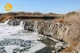 نفس‌های گاوخونی، به شماره افتاده!