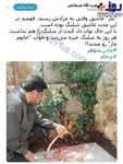کنایه ضرغامی به روحانی درباره مادرشوهر برجام! +عکس