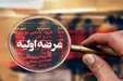 جزئیات عرضه اولیه شکیمیا