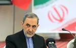 قدردانی ولایتی از رئیس جمهور