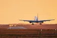 تورهای داخلی لغو شد اما تورهای خارجی برقرار است! +فیلم
