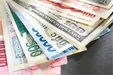 نرخ تعادلی ارز ۸ هزار تومان است