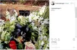 مزار ابوالفضل زرویی نصرآباد+عکس