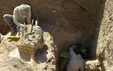 کشف بنای باشکوه ساسانی در خراسان