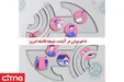 تمدید دورکاری ادارات مجموعه شرکت مخابرات ایران برای حداکثر ۳۰ درصد کارکنان تا پایان سال