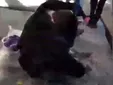 همه آنچه تاکنون درباره مرگ جوان مشهدی ، مهرداد سپهری ، می‌دانیم