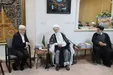 توصیه‌های آیت‌الله بیات زنجانی به عارف: دولت زخم دی‌ماه را ترمیم کند