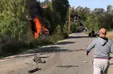حمله پهپادی اسرائیل به یک خودرو در جنوب لبنان