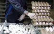 گرانی مرغ و تخم‌مرغ در بازار؛ نرخ‌ها از مصوبه جلو زدند