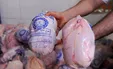 افزایش مجدد قیمت مرغ/ هر کیلو چند؟