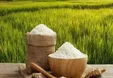بهترین روش‌های نگهداری برنج در خانه
