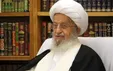 هادوی تهرانی: آیت الله مکارم به بیماری جسمی شدیدی مبتلا شده؛ مومنین دست به دعا بردارند