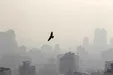تداوم آلودگی هوا در تهران/ تردد غیرضروری نکنید
