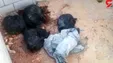 مرد بی رحم زن دومش را مقابل دو فرزندش تکه تکه کرد + عکس