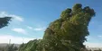 باد و کاهش دما تا ۱۰ درجه در غرب و شرق کشور / گردوخاک در پایتخت