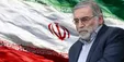 خبر برادر محافظ محسن فخری زاده از زنده بودن برادرش: جراحی او موفقیت آمیز بود