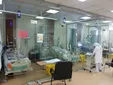 سالیانه ۵ هزار پا در عربستان قطع می‌شود