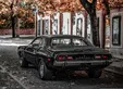 ماشین عتیقه کمیاب و لاکچری در تهران +عکس